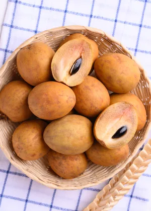 Sapodilla 'Brown Sugar' (Manilkara zapota)